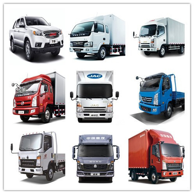 Parties détachées pour camions JMC 1030/1040 Appuie-bras intérieur avec modèle de camions de l'année 2015- Autre
